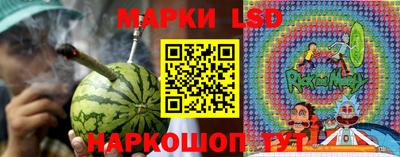 марки lsd Будённовск