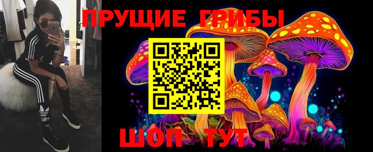 Миллерово  Псилоцибиновые грибы Psilocybe  Вход с VPN 